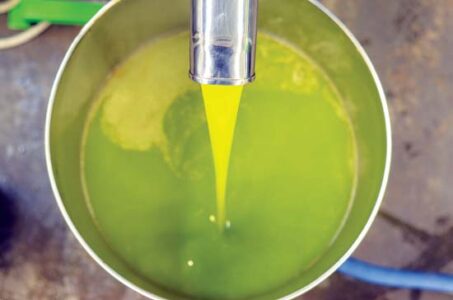 Homegrown Olive Oil Business